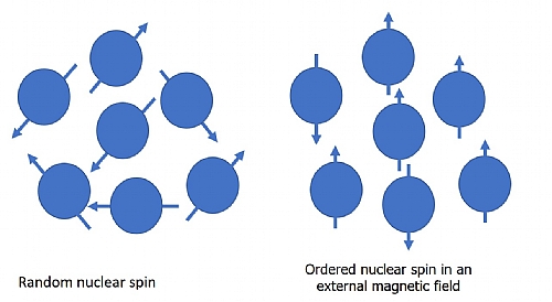 Nuclear Magnetic Resonance (NMR) Spectroscopy