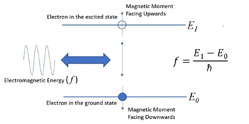 Nuclear Magnetic Resonance (NMR) Spectroscopy